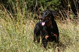 BEAUCERON 724